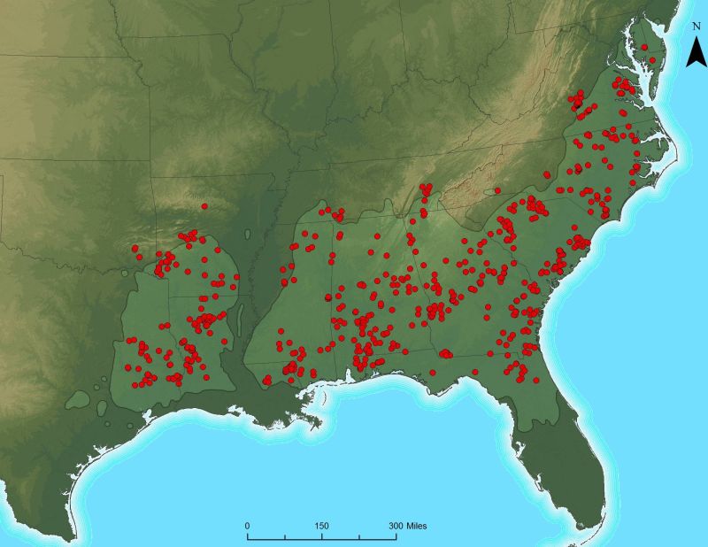 How To Set Different Map Layers For Different Zoom Levels Using Arcgis - Creative Dark Art - Desktop