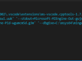 Why Is My C Output Not Showing In Vs Code Terminal Gcc Stack Overflow