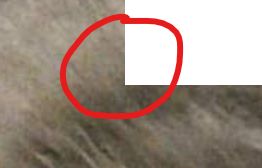 Css Outside Rounded Corner With Background Image Stack Overflow - Premium 8K Vintage Arts | Free Download