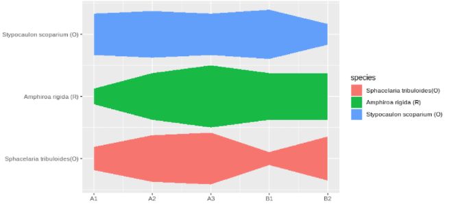R Kite Diagram Tidyr Stack Overflow - Premium Gradient Background Gallery - Mobile