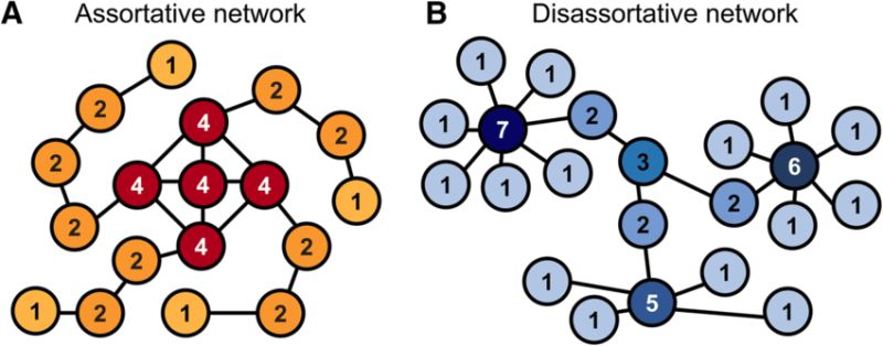 Visualization Visualising Assortativity In Networks Mathematica - Amazing Mobile Mountain Photos | Free Download