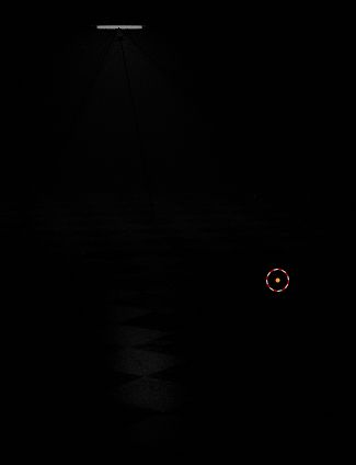 Light Wont Render Properly R Blender - Gorgeous Nature Pattern - High Resolution