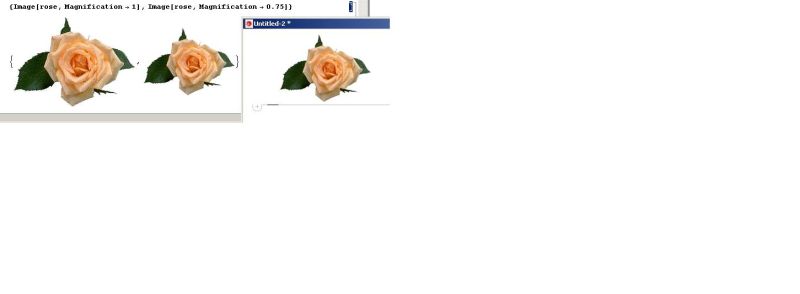 Stylesheet Magnification Messing Up Styles Mathematica Stack Exchange - Best Vintage Photos in HD