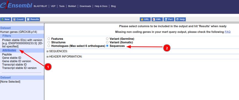 Phylogenetics What Is The Best Way To Acquire Protein Isoform - Professional Retina Geometric Textures | Free Download