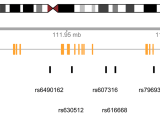 R Plot Mapped Snp On Chromosome Stack Overflow