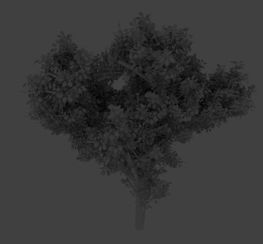 An Easy Way To Animate A Tree In Blender Lesterbanks - Incredible High Resolution Light Images | Free Download