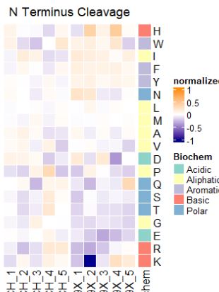 Annotation Heatmaps For A Switch And B Textbutton Elements - Vintage Patterns - Ultra HD High Resolution Collection