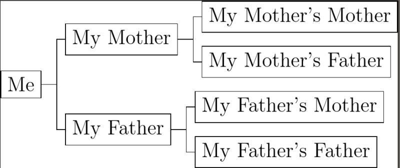 Typesetting Genealogical Trees Tex Latex Stack Exchange - High Resolution Ocean Patterns for Desktop