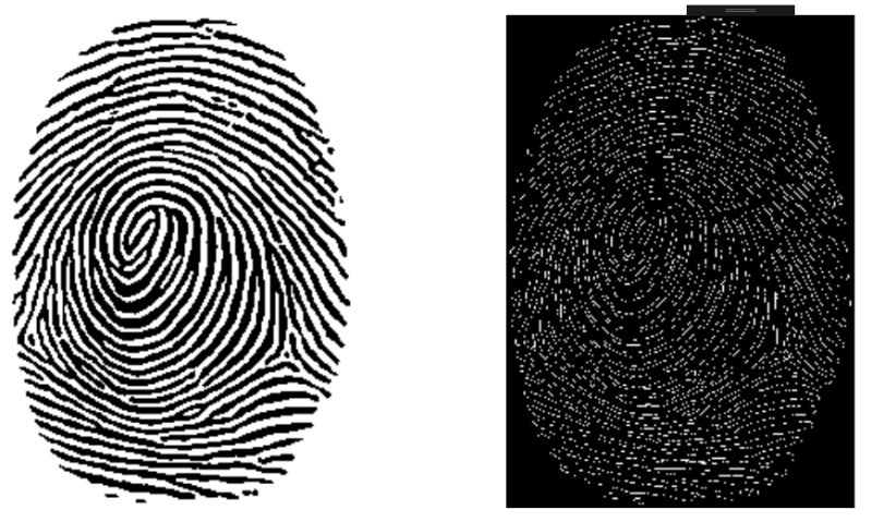 C Confused About Lockbits Bitmapdata And Pixelformat Format48bpprgb - Gorgeous Colorful Photo - HD