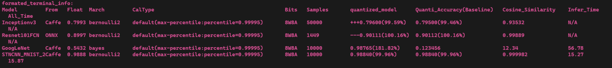 formated_string_in_terminal
