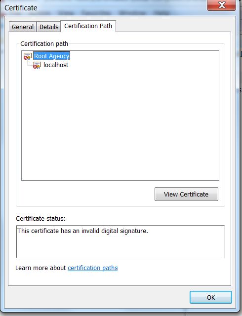 Makecert Fiddler Generated Certificate Has Invalid Digital Signature Stack Overflow - Best City Photos in 4K