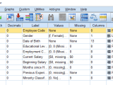 Python How Are Numeric And String Variables Determined In Spss