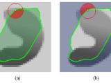 Opencv How To Get The Pixels On An Active Contour In Python Stack