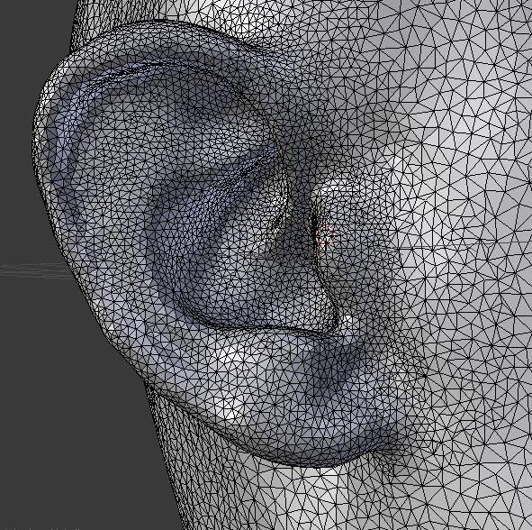 Python Center And Orient Mesh Of A Head Blender Stack Exchange - Gradient Wallpapers - Amazing High Resolution Collection
