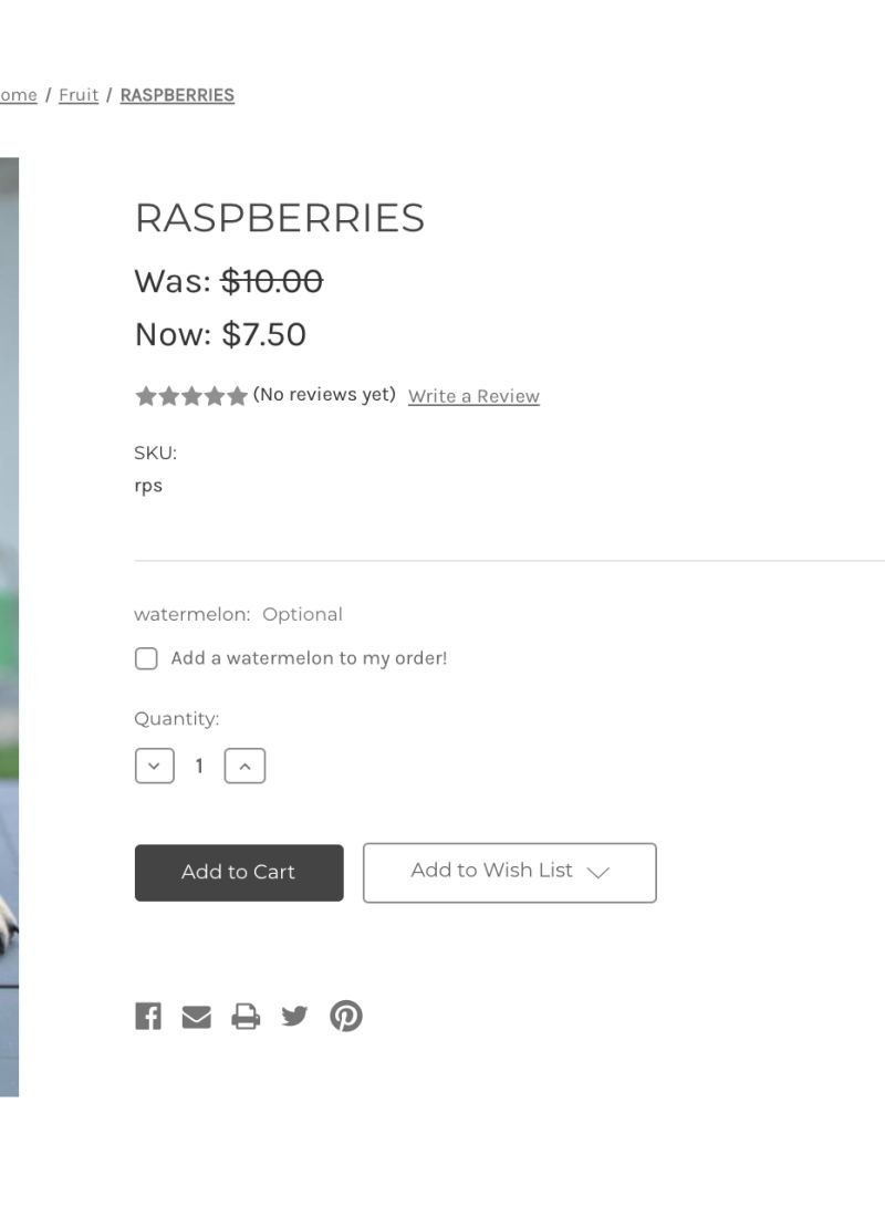 Checkbox Bigcommerce Dev Center - Desktop Ocean Illustrations for Desktop