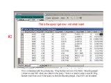 Issue With Ms Access 2000 Repeating Display Of Same Field In Query