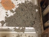 Old Insulation Asbestos