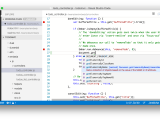 Microsoft Visual Studio Code Acaview