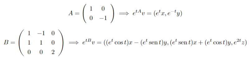 Ode Rexius Flow - Minimal Illustrations - Stunning 8K Collection