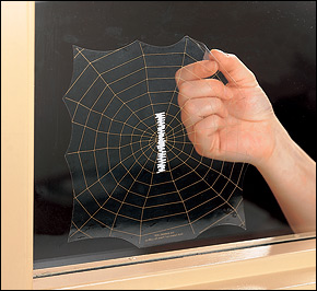 birds hitting windows stop window sunroom decal got stack