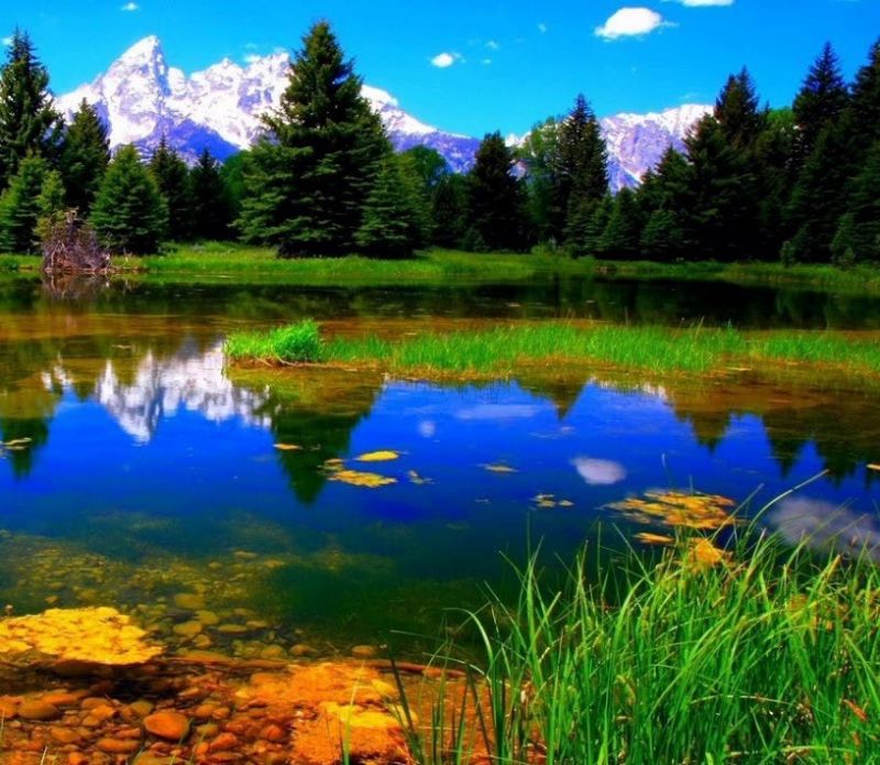 Python Linear Gradient Mask Using Opencv Stack Overflow - Best Sunset Arts in Mobile