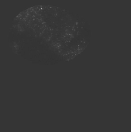 Using Masked Images With Python Trackpy Stack Overflow - Best Colorful Wallpapers in Retina