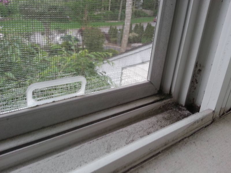Replacing Window Screens Home Improvement Stack Exchange - Creative Mobile Nature Textures | Free Download