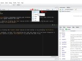 R Language Tutorial Inserting Chunks
