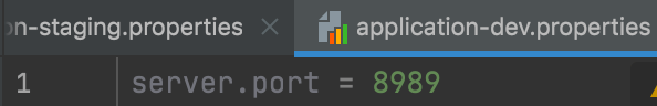 application-dev.properties content