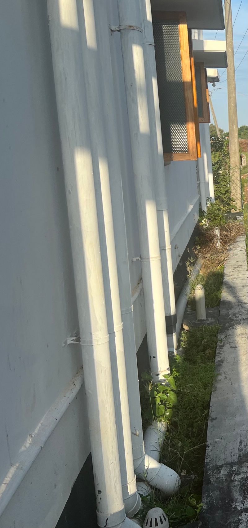 Top 5 Tips To Prevent Termites When Building A New House Hicare - Dark Design Collection - Ultra HD Quality