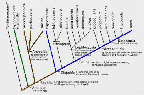 They have to hold on for dear life! evolution - Can someone help me analyze this article? - Biology Stack Exchange