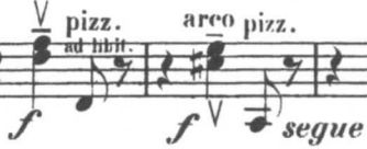 Pizzicato Notation Music Notation Software For Study Leisure And Work - Premium Light Pattern Gallery - 4K