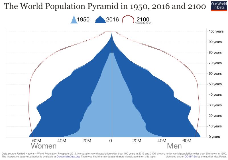 World Population Pyramid Ygraph - Classic Mobile Minimal Backgrounds | Free Download