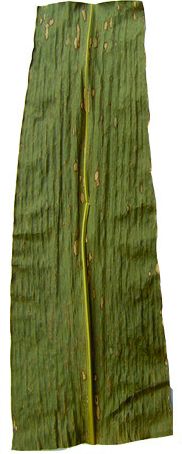 Image Processing Removal Background With Shadows On Hue Mathematica Stack Exchange - Abstract Texture Collection - Retina Quality