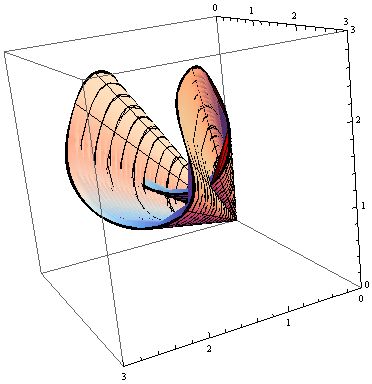 Differential Geometry A Self Intersecting Surface Mathematics Stack - Modern Nature Art - High Resolution