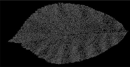 Removing The Edge Features Of An Image While Enhancing Internal - Download Ultra HD Geometric Background | 8K