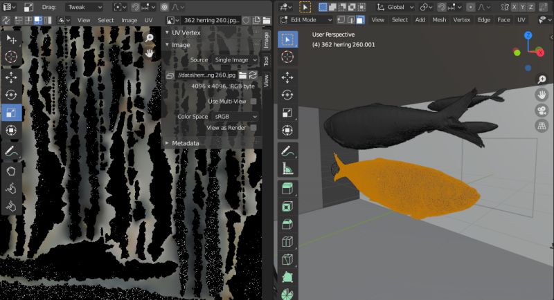 3d Coat Export Texture Transparent Background Donsw - Premium Geometric Texture Gallery - Desktop
