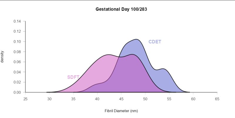 R My Layout Doesn T Allow Me To Show Xlab And Ylab Stack Overflow - Download Amazing Light Illustration | Full HD