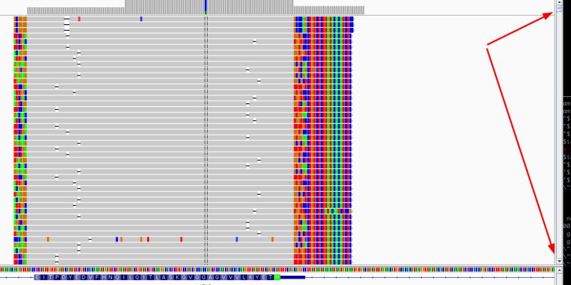 Samtools How To Analyze An Igv Alignment Bioinformatics Stack Exchange - Premium Nature Background Gallery - High Resolution