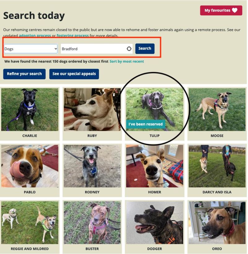 Java How To Scrape Youtube Information Stack Overflow - Stunning City Design - Ultra HD