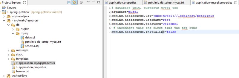 Facing Issue In Loading Spring Petclinic Microservices With Multi Node - Professional Landscape Texture - 8K