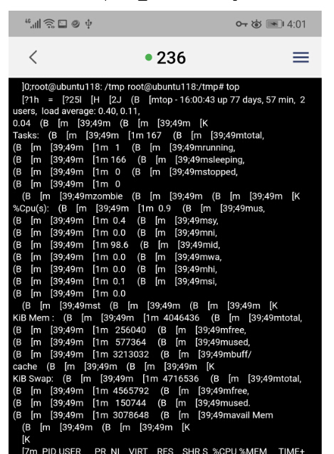 Emscripten Shell Py Xterm - High Quality Minimal Wallpaper - High Resolution
