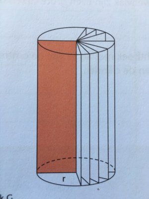 cylinder vertical sliced shape latex