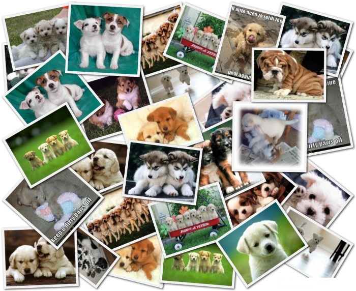 Imagemagick How Can I Create A Multi Image Collage Using Php Stack - Mobile Abstract Textures for Desktop