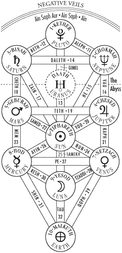 picture Fullmetal Alchemist Symbols Meaning the tree of life in fullmetal alchemist