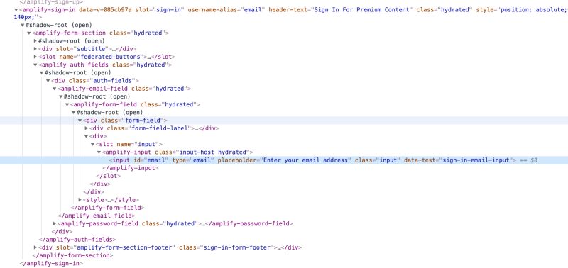 Javascript Aws Cognito How To Customise The Input Fields Stack - Best Nature Arts in Full HD