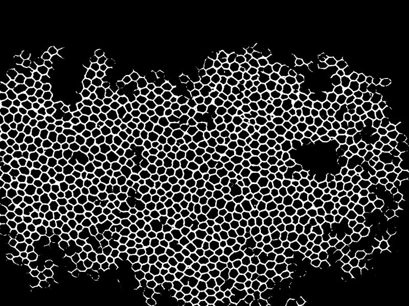 Tensorflow Remove Background Using U2net Produced Mask Stack Overflow - Abstract Wallpaper Collection - Ultra HD Quality