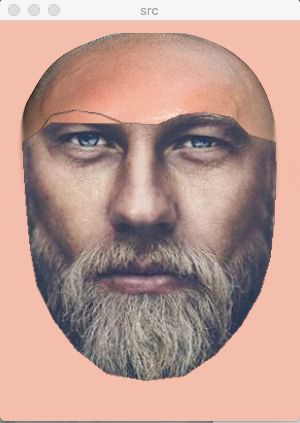 Face Swapping And Seamless Cloning Functions Py At Master - 4K City Wallpapers for Desktop