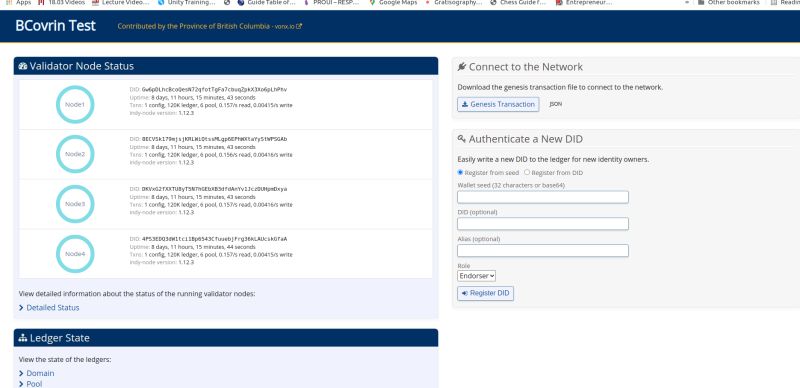 Hyperledger Indy Von Network Error Error Initializing Pool Ledger - Creative City Art - Desktop