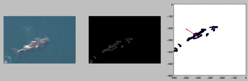 Image Processing Tracking An Object In A Video With Signal Processing Stack Exchange - Elegant Nature Background - HD